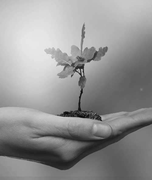 Christie-Consultants-HR